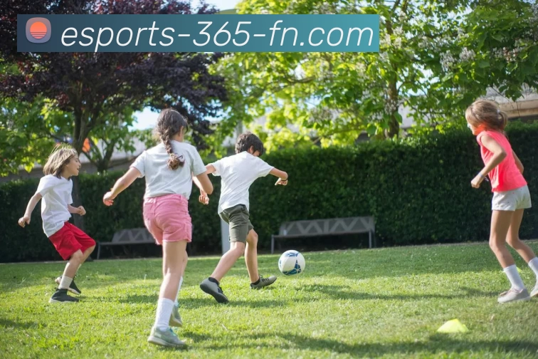 FN电竞365APP 高清赛事图